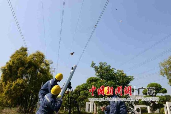 東莞供電局“激光大炮”問世 可帶電清除架空線路飄掛物