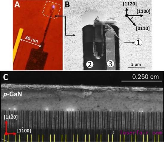 圖｜鰭式 LED 像素和陣列光學(xué)圖像（來(lái)源：Science Advances）