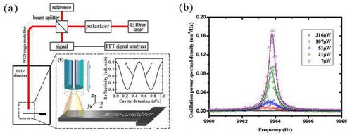 圖（a）實(shí)驗(yàn)原理圖；（b）激光冷卻懸臂梁的振動(dòng)噪聲譜。